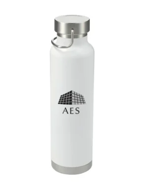 Insulated Bottle 22oz - AES